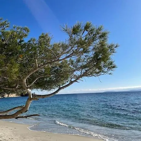 Apartamento T2 Piscine Proche